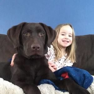 Meet your Posher, Chris